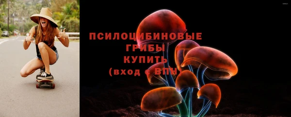МДПВ Аркадак