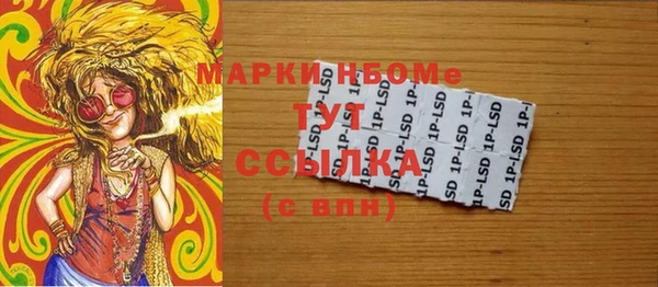 PSILOCYBIN Алзамай