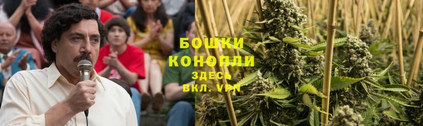 шишки Алексеевка