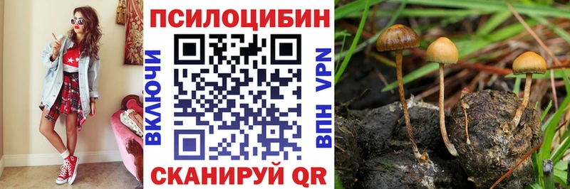 даркнет клад  кракен ССЫЛКА  Баймак  Псилоцибиновые грибы ЛСД 